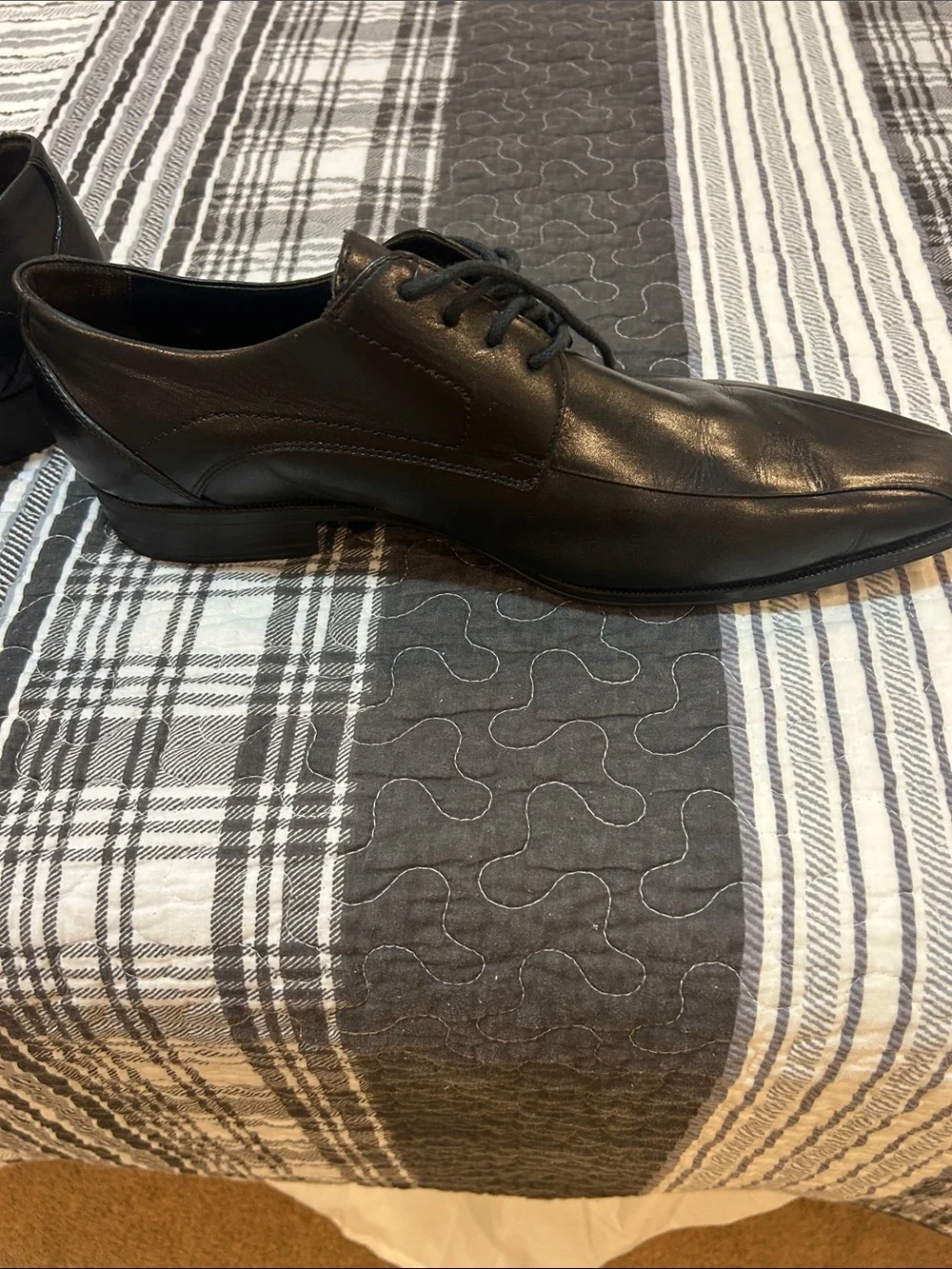 Belvedere men lace